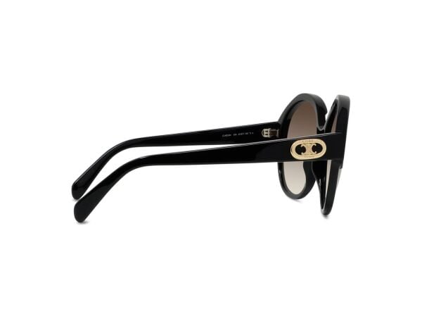 Celine Triomphe CL 40154I 01K