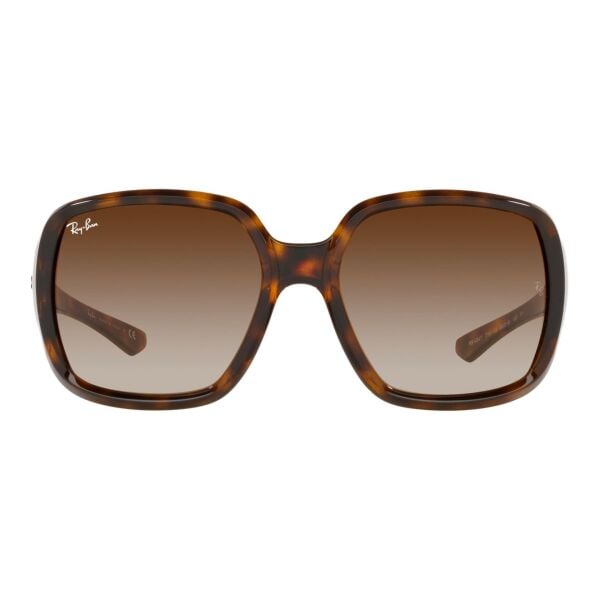 Ray-Ban Powderhorn RB 4347 710/13 60