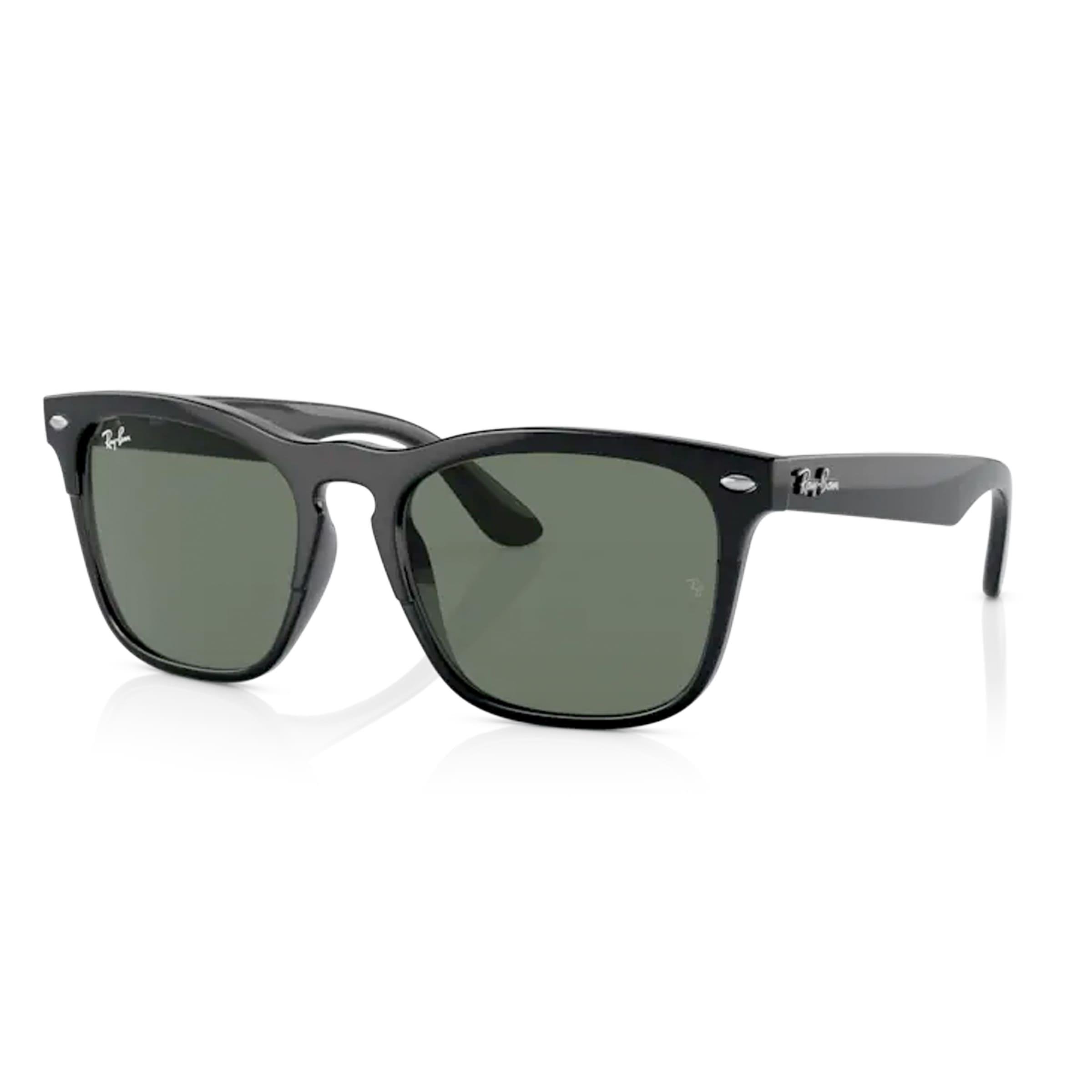 Ray-Ban Steve RB 4487 662971 54