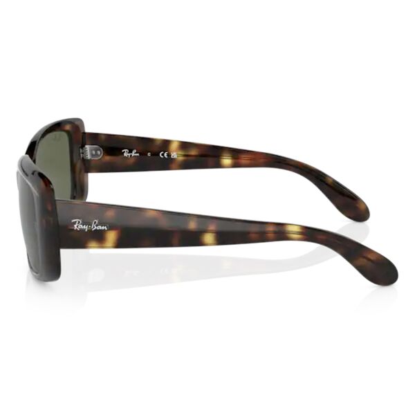 Ray-Ban RB 4389 710/31 55