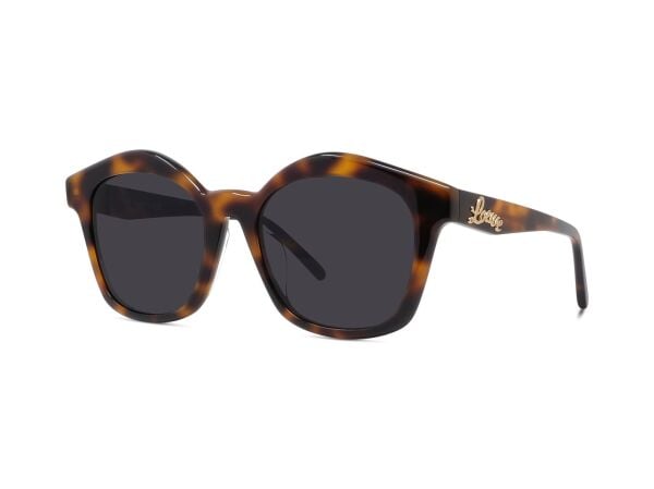 Loewe LW 40079U