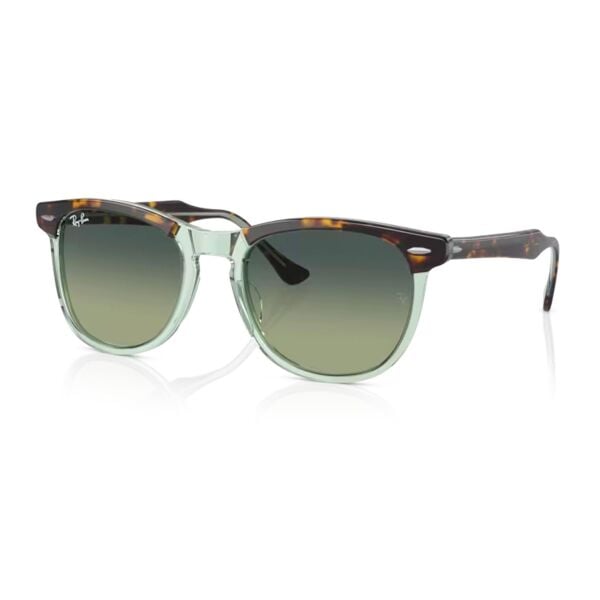 Ray-Ban Eagleeye RB 2398 1376BH 53