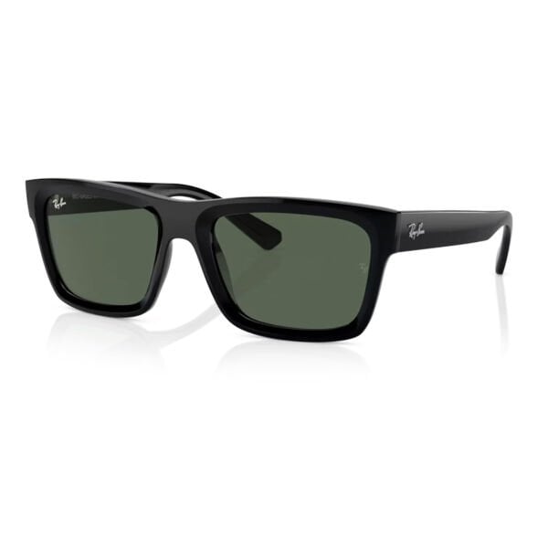 Ray-Ban Warren RB 4396 667771 57