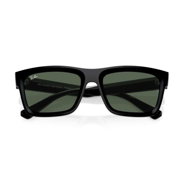 Ray-Ban Warren RB 4396 667771 57