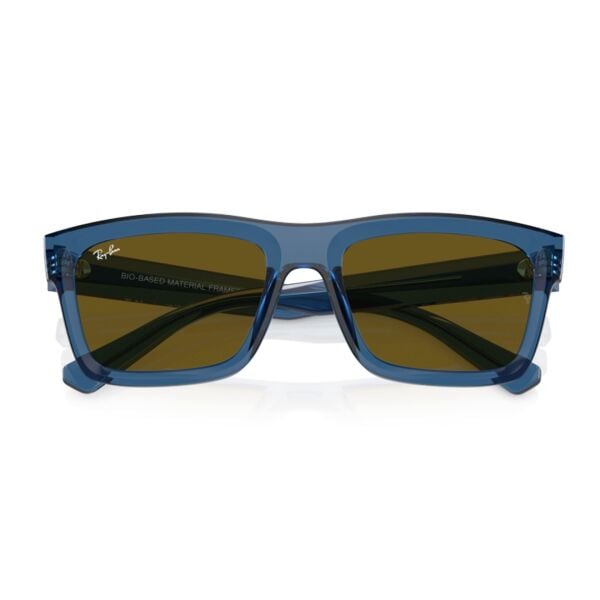 Ray-Ban Warren RB 4396 668073 54