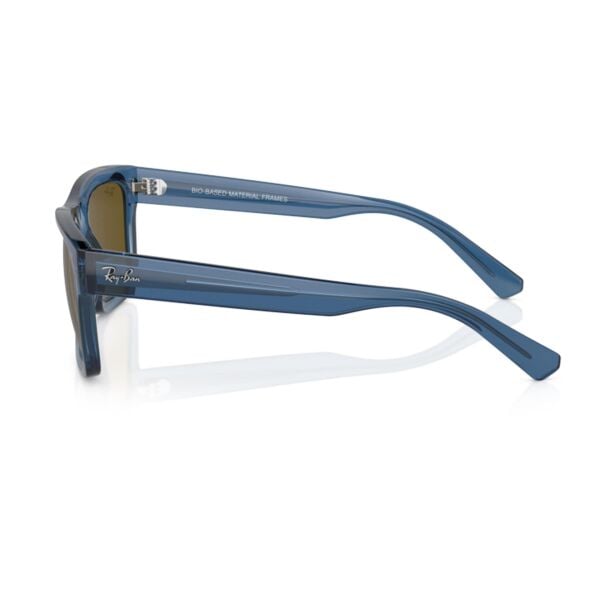 Ray-Ban Warren RB 4396 668073 54