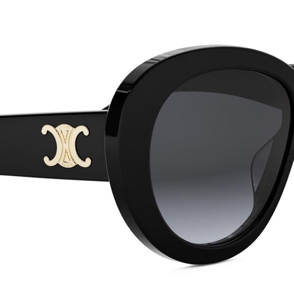 Celine Triomphe CL 40317U 01B