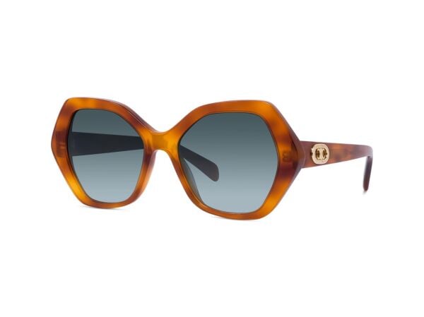 Celine Triomphe CL 40166I