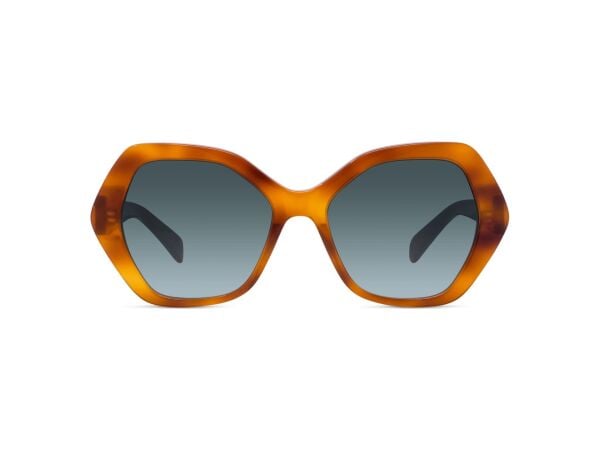 Celine Triomphe CL 40166I