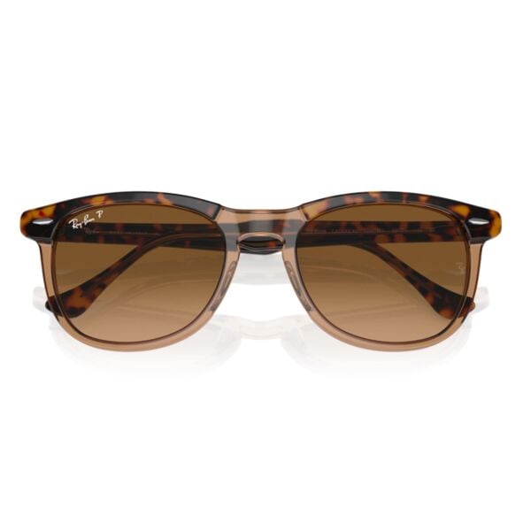 Ray-Ban Eagleeye RB 2398 1292M2 56