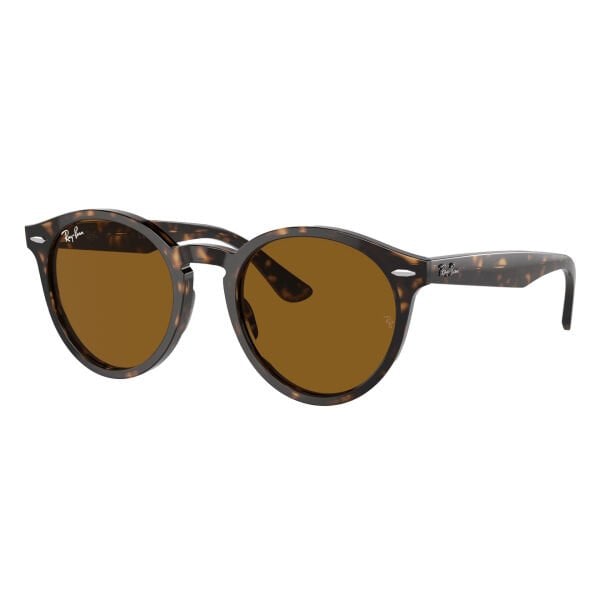 Ray-Ban Larry RB 7680S 902/33 51