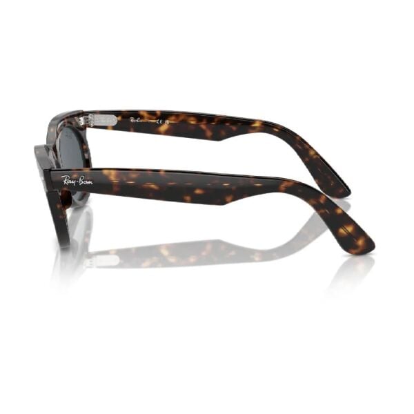 Ray-Ban Wayfarer Oval RB 2242