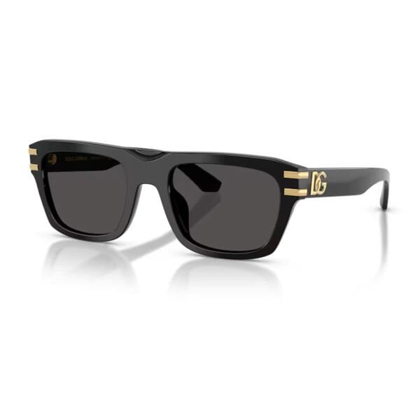 Dolce & Gabbana DG 4496 501-8754