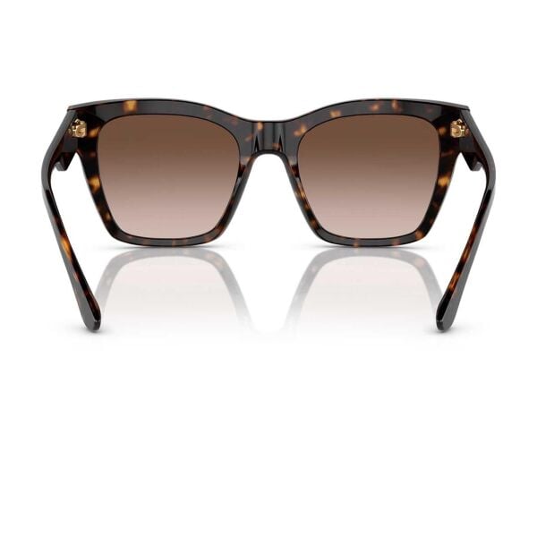 Dolce & Gabbana DG 4384 502/1353