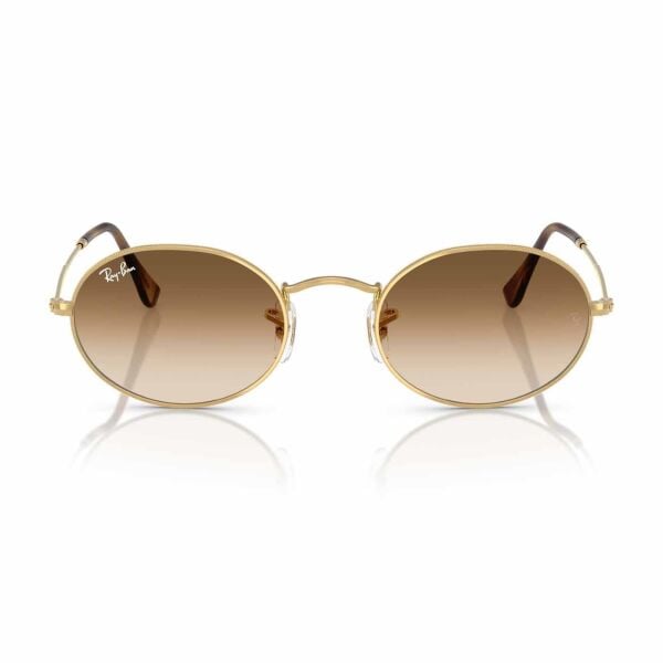Ray-Ban Oval RB 3547 001/51 51