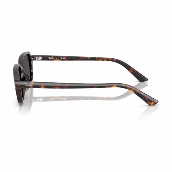 Ray-Ban Zuri RB 4455