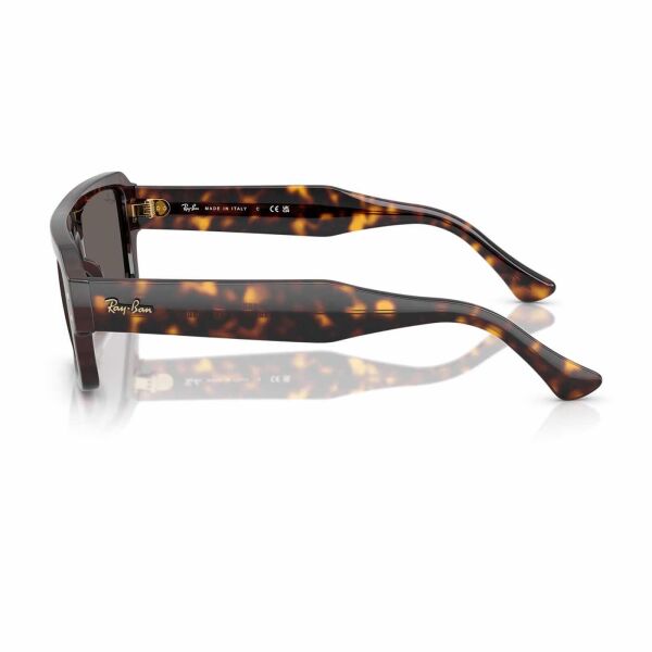 Ray-Ban Lukas RB 4454