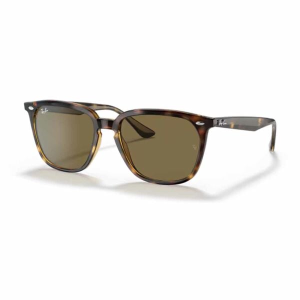 Ray-Ban RB 4362
