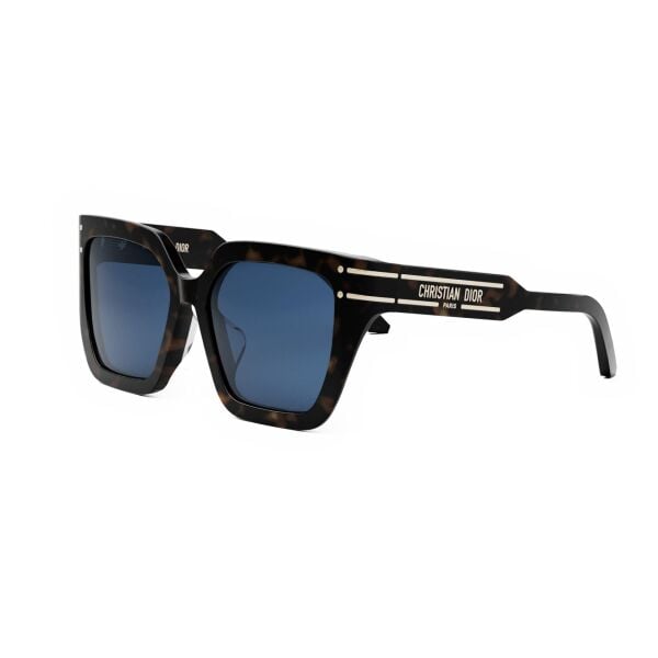 Dior DiorSignature S10F CD 40131F 52V