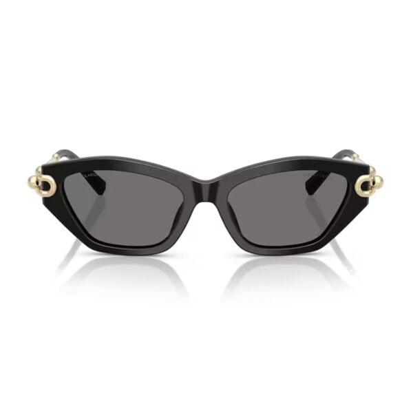 Tiffany TF 4231U