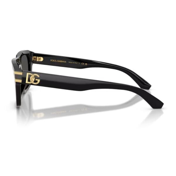 Dolce & Gabbana DG 4496