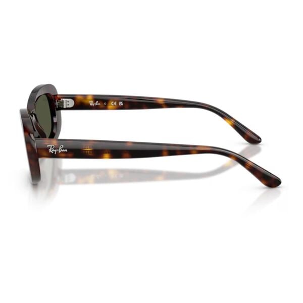 Ray-Ban RB 2221