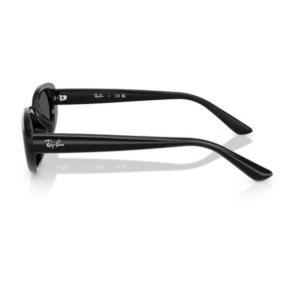 Ray-Ban RB 4441D 66778753