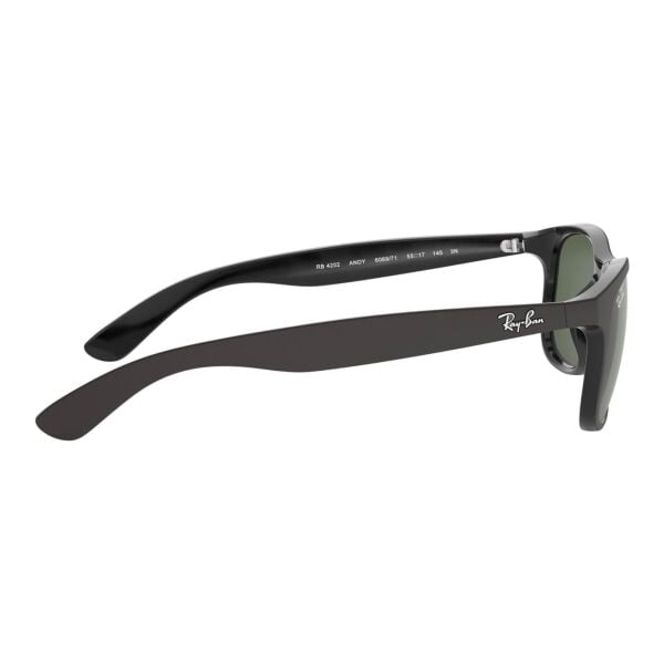 Ray-Ban Andy RB 4202