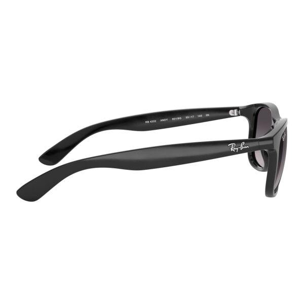 Ray-Ban Andy RB 4202 601/8G 55 - Siyah