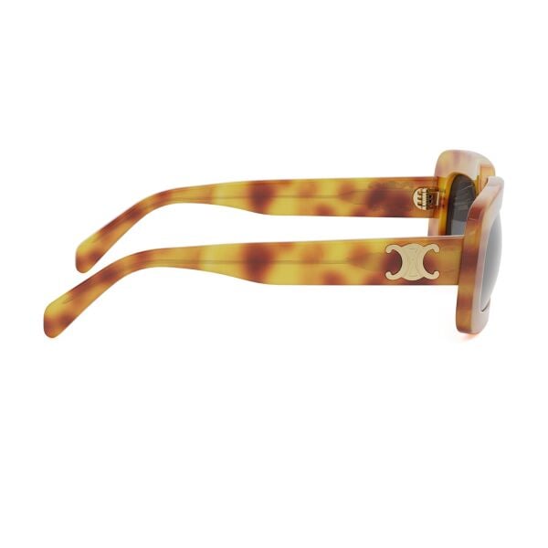 Celine Triomphe CL 40313U