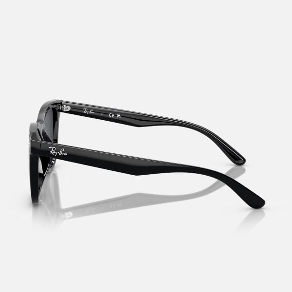 Ray-Ban RB 4420