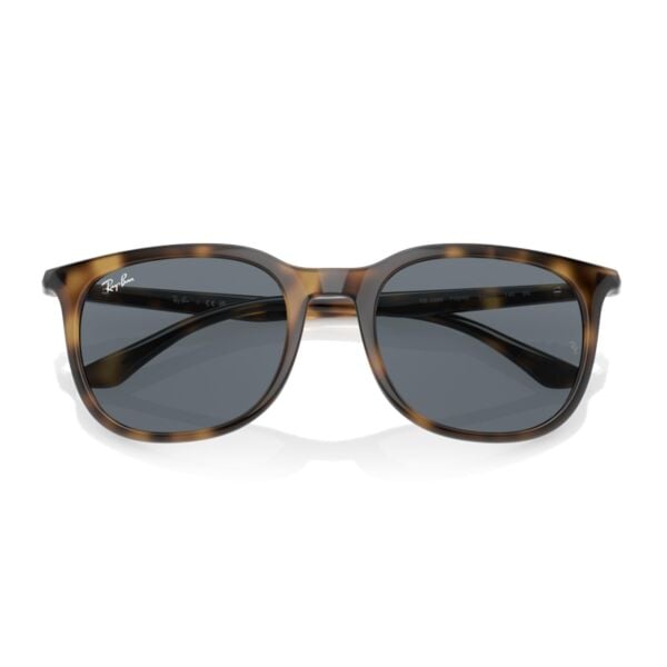 Ray-Ban RB 4386 710/R5 54 - Havana