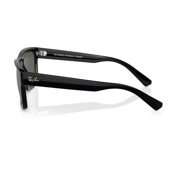 Ray-Ban Warren RB 4396