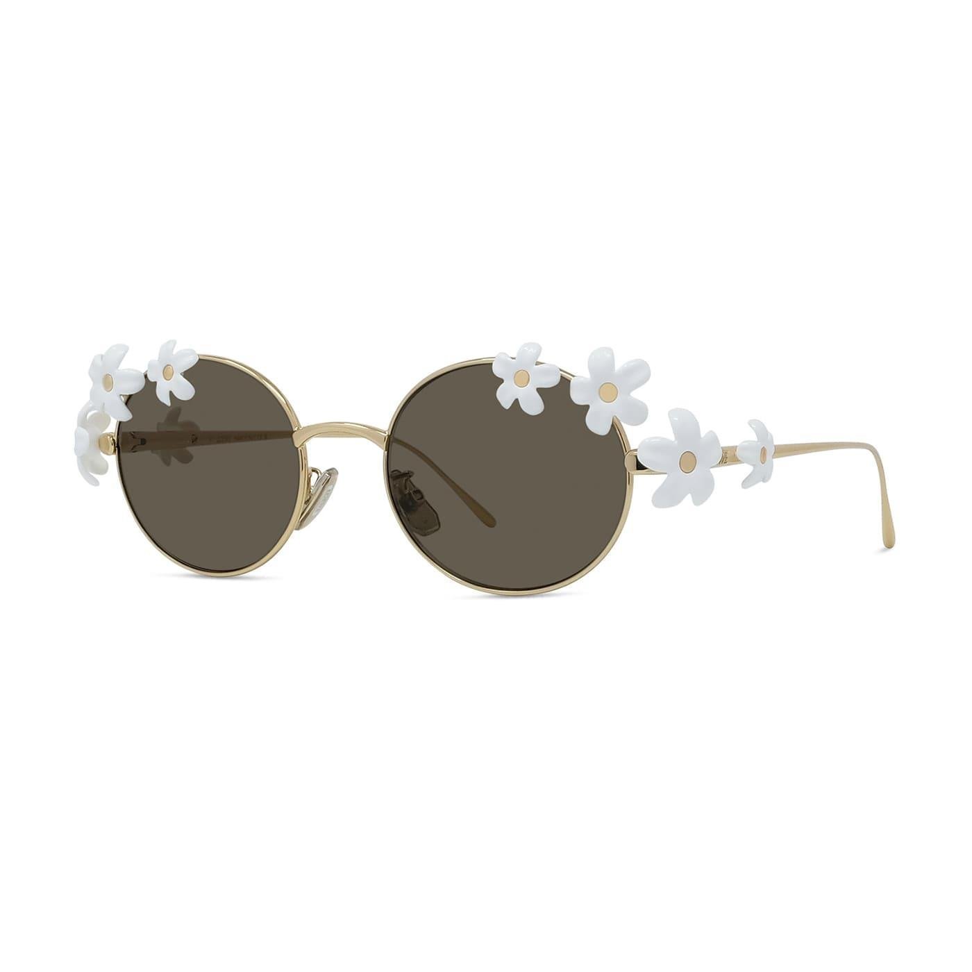 Loewe Signature Oval Gold Kadın Güneş Gözlüğü | Brandeyes