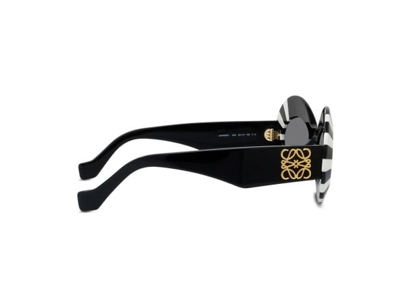 Loewe LW 40091I