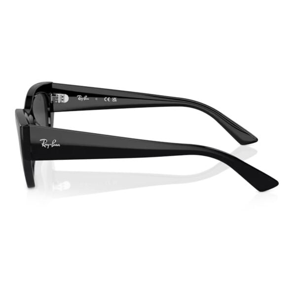 Ray-Ban Zena RB 4430 667787 49