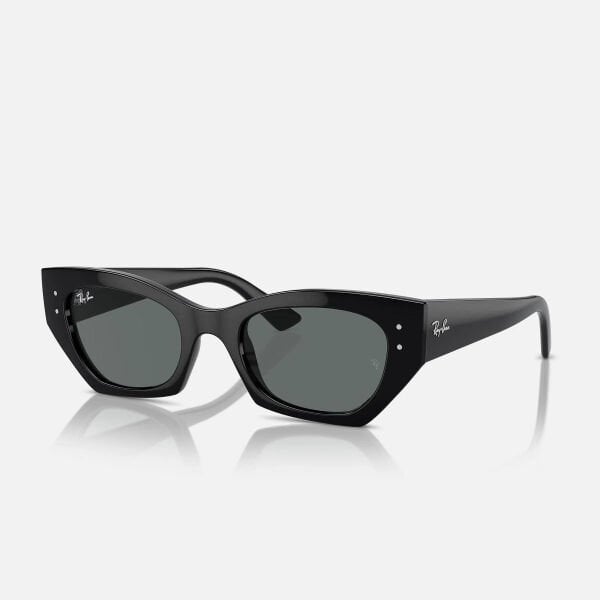 Ray-Ban Zena Bio-Based RB 4430 667787 49