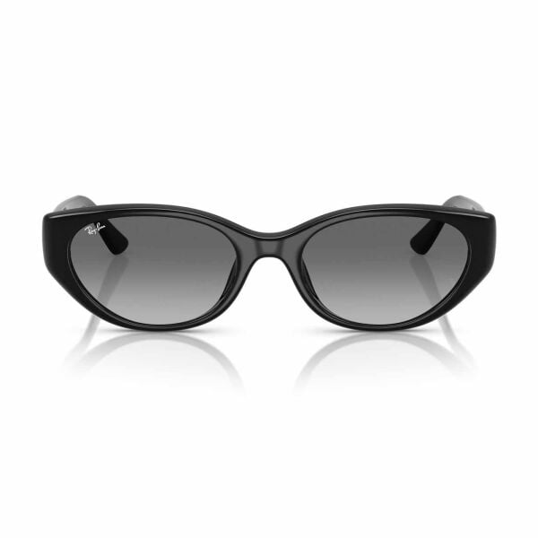 Ray-Ban RB 4457D 667711 55