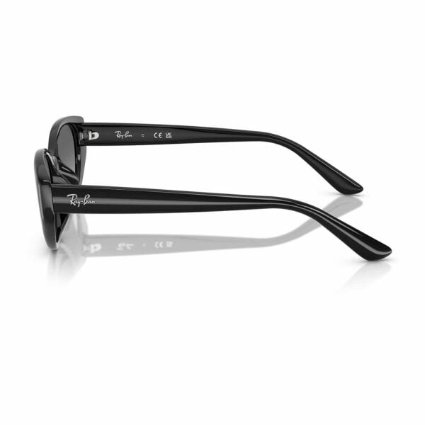 Ray-Ban RB 4457D 667711 55